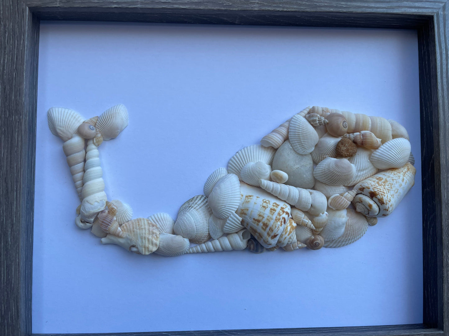 Whale Made From Sea Shells - Original Handmade Artwork - Beach House - Ocean - Seaside - Animal Artwork - Perfect Gift