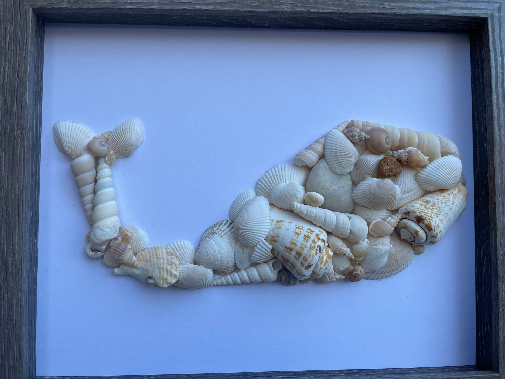 Whale Made From Sea Shells - Original Handmade Artwork - Beach House - Ocean - Seaside - Animal Artwork - Perfect Gift