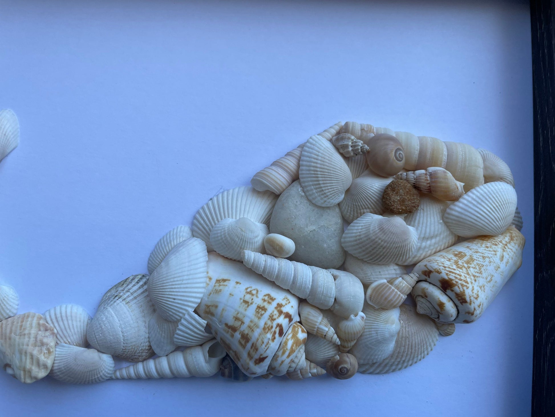 Whale Made From Sea Shells - Original Handmade Artwork - Beach House - Ocean - Seaside - Animal Artwork - Perfect Gift