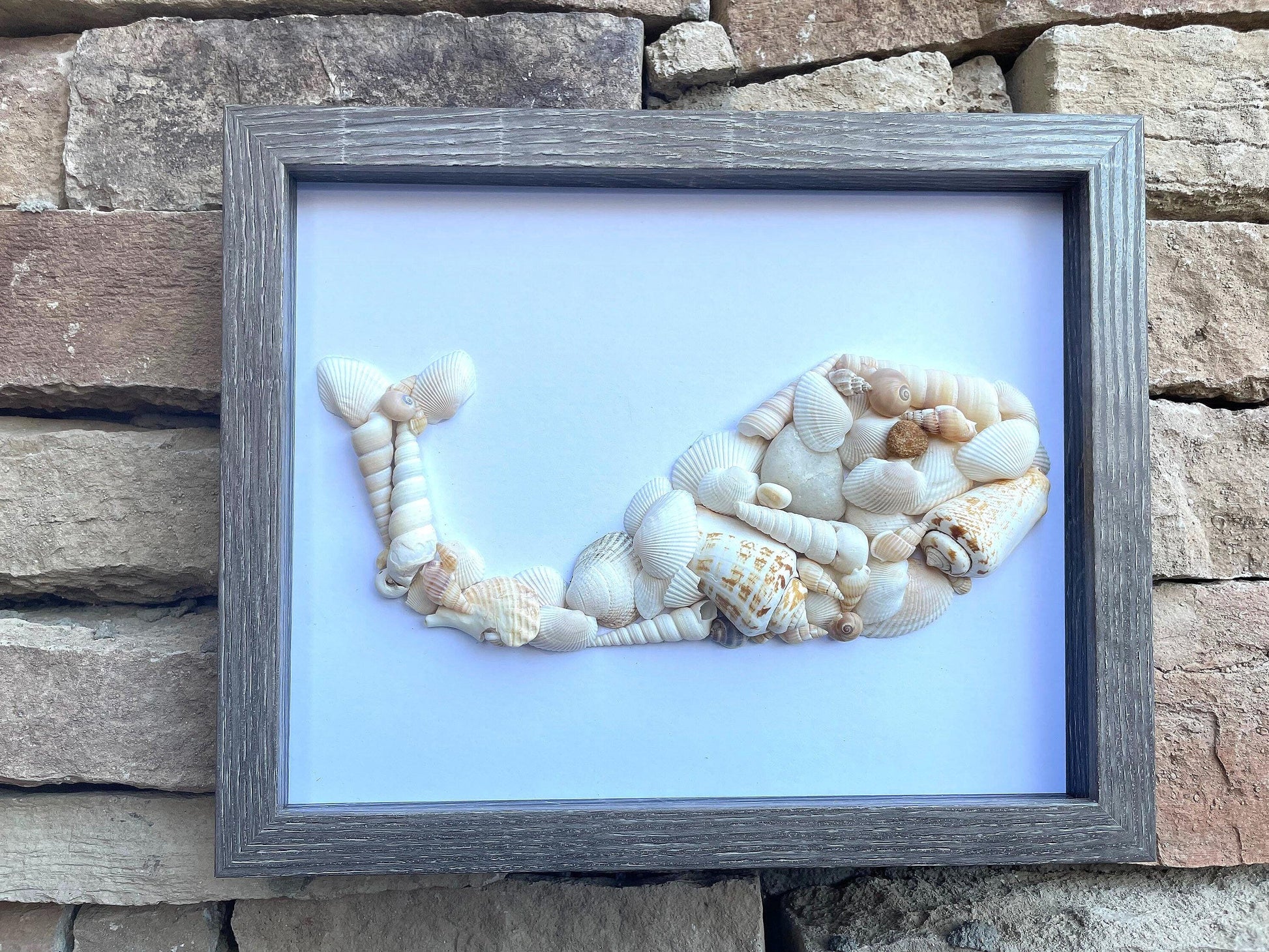 Seashell Whale Art – Handmade Ocean Coastal Decor, Framed