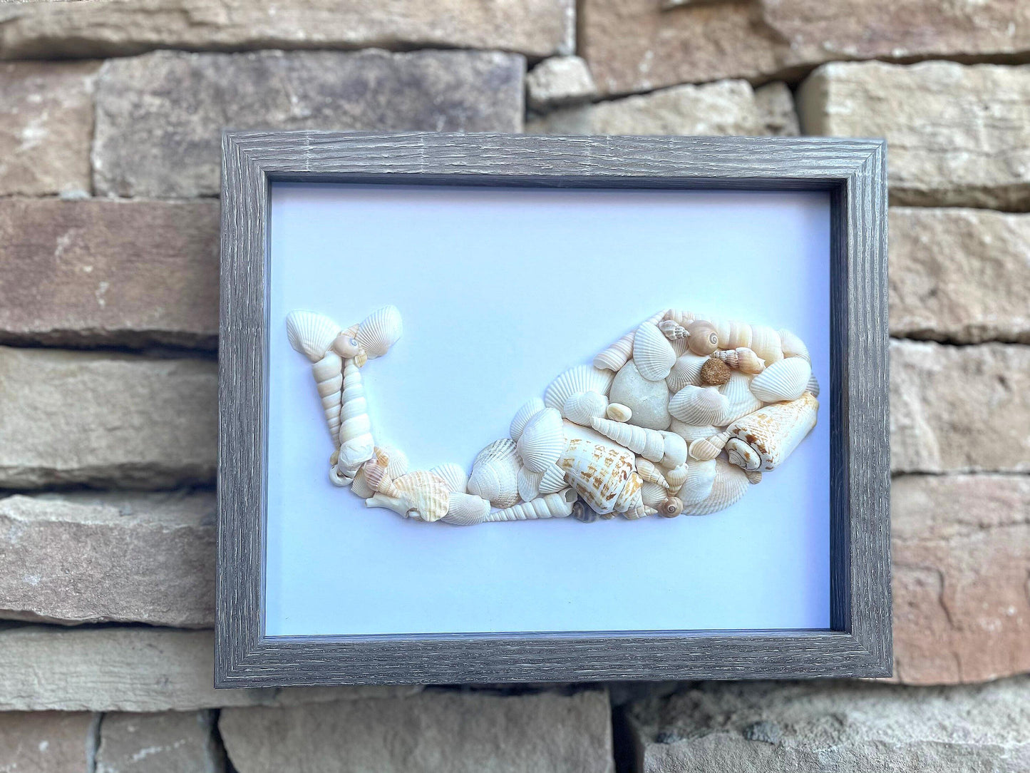 Seashell Whale Art – Handmade Ocean Coastal Decor, Framed
